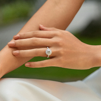 PT950 Platinum Diamond Ring with Pavé Halo & Polished Band